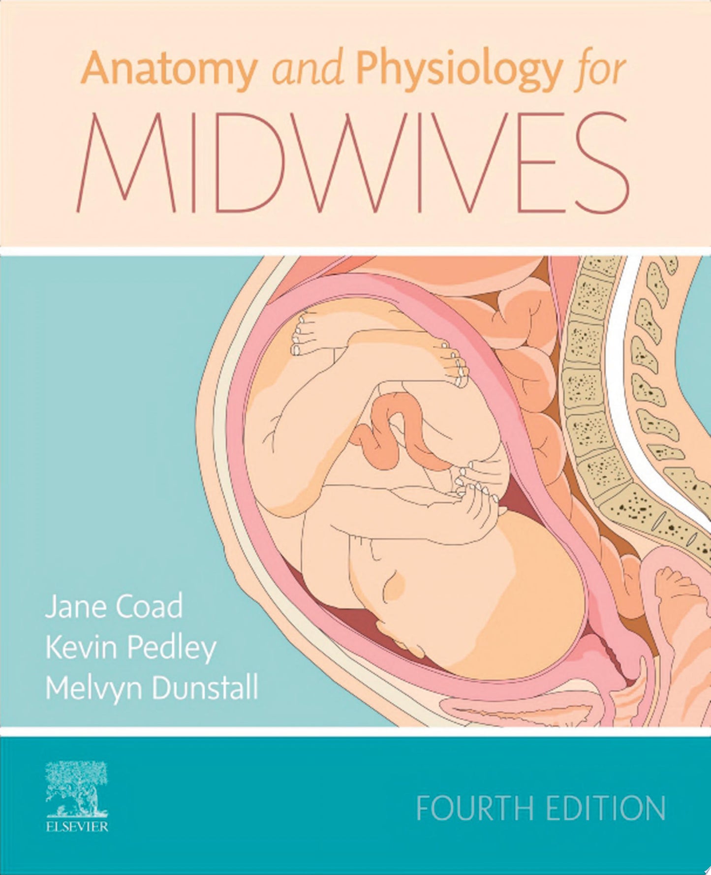 Anatomy and Physiology for Midwives, 4th Edition
