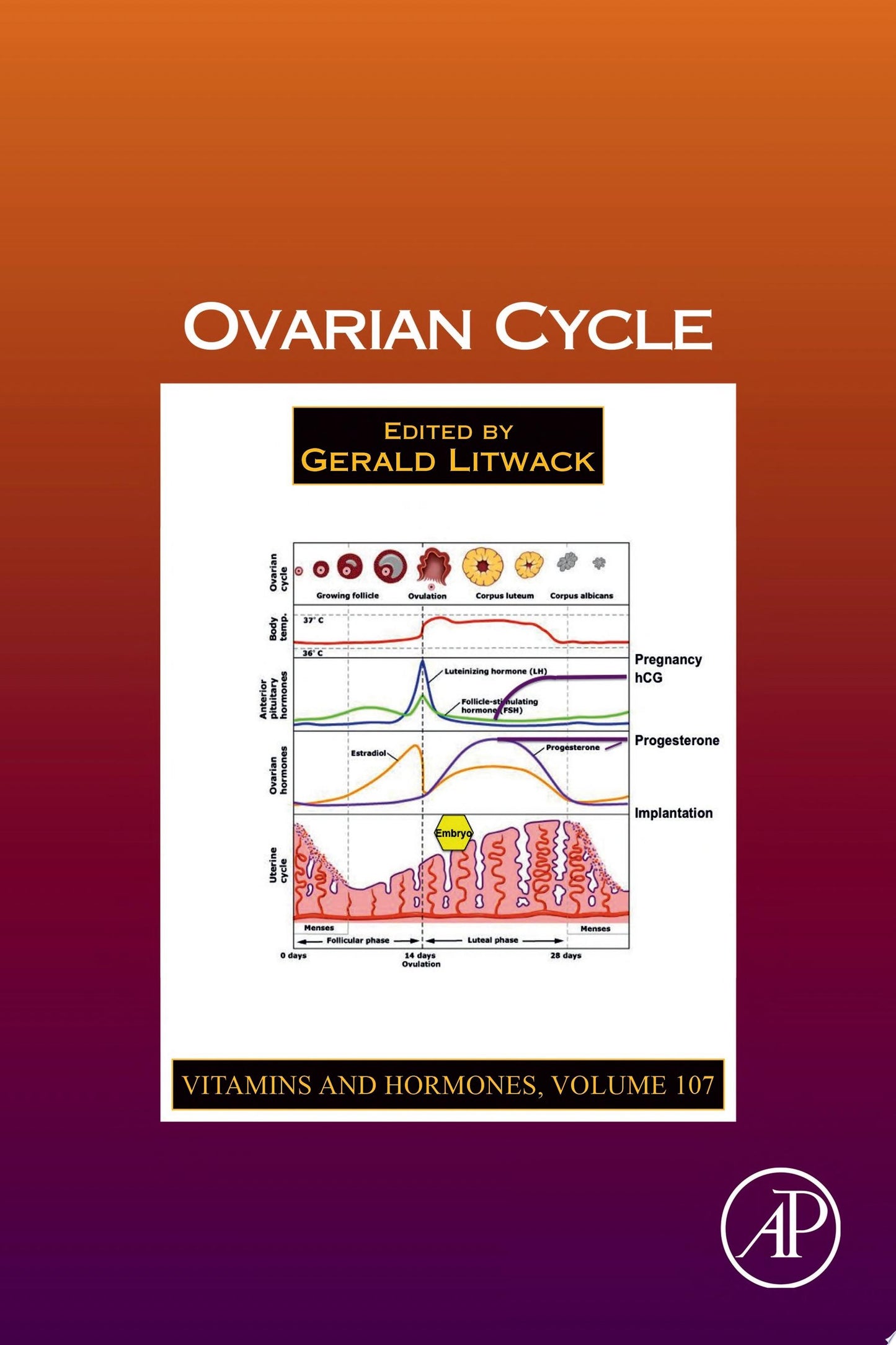 Ovarian Cycle, Volume 107