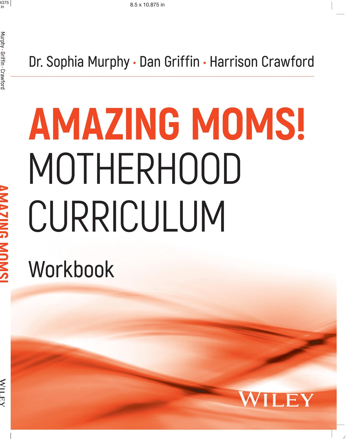 Amazing Moms! Motherhood Curriculum, Workbook