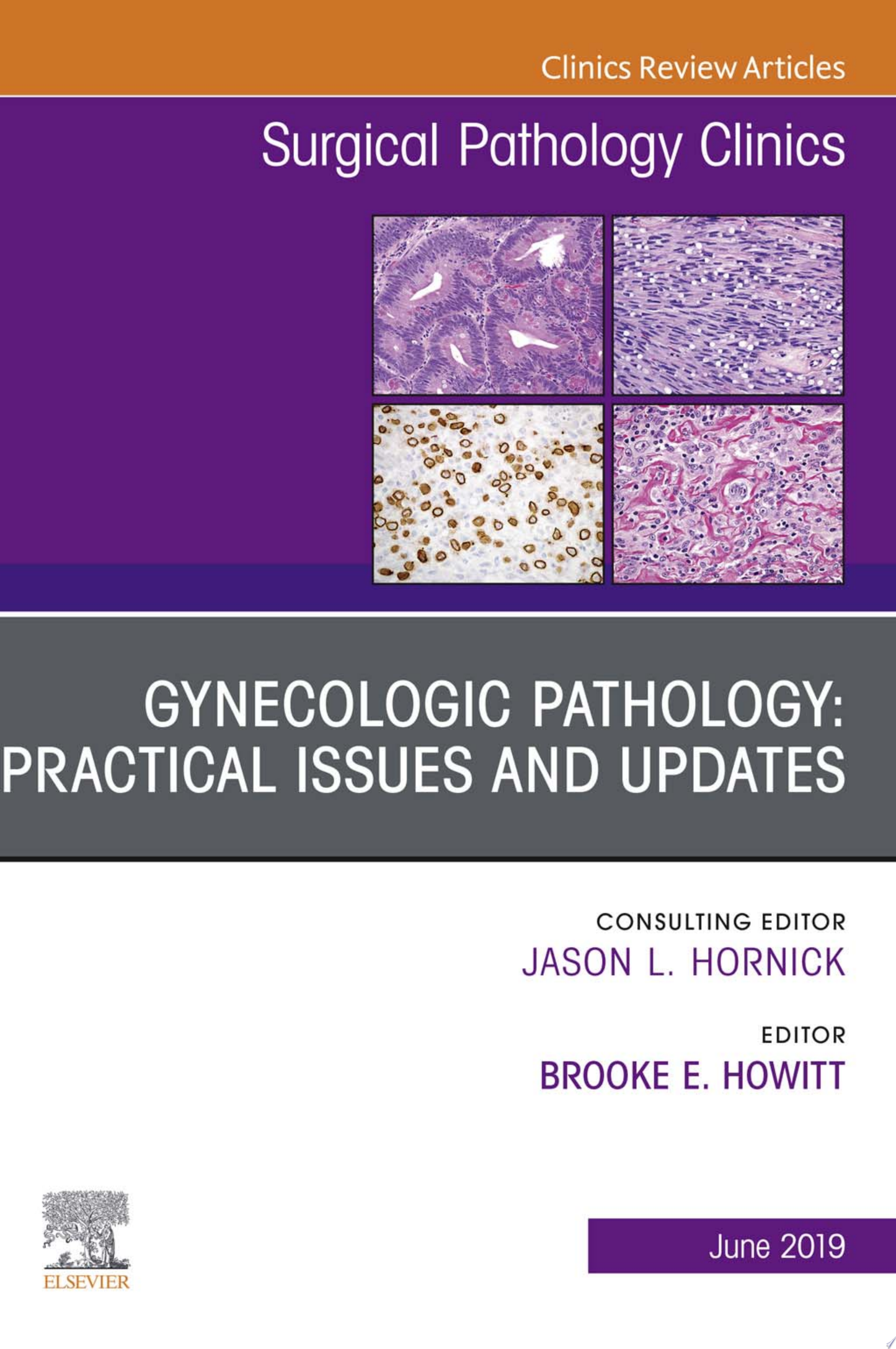 Gynecologic Pathology: Practical Issues and Updates, An Issue of Surgical Pathology Clinics