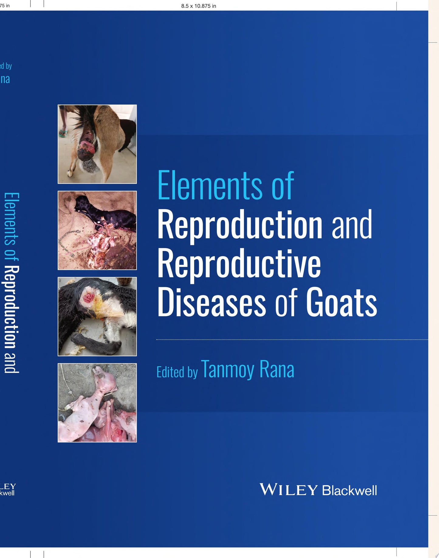 Elements of Reproduction and Reproductive Diseases of Goats