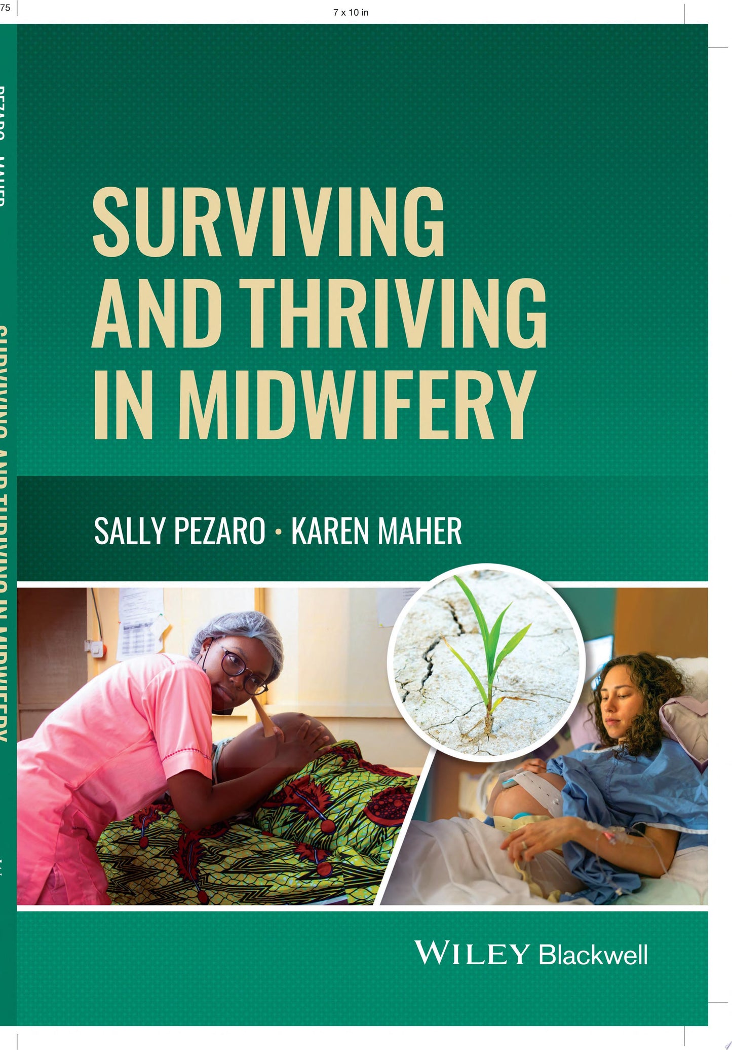Surviving and Thriving in Midwifery