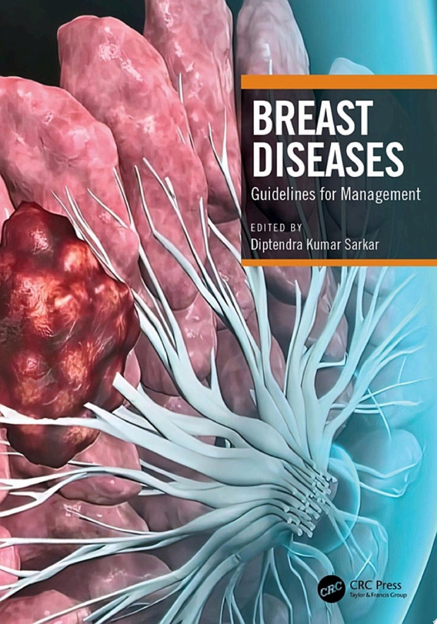 Breast Diseases: Guidelines for Management