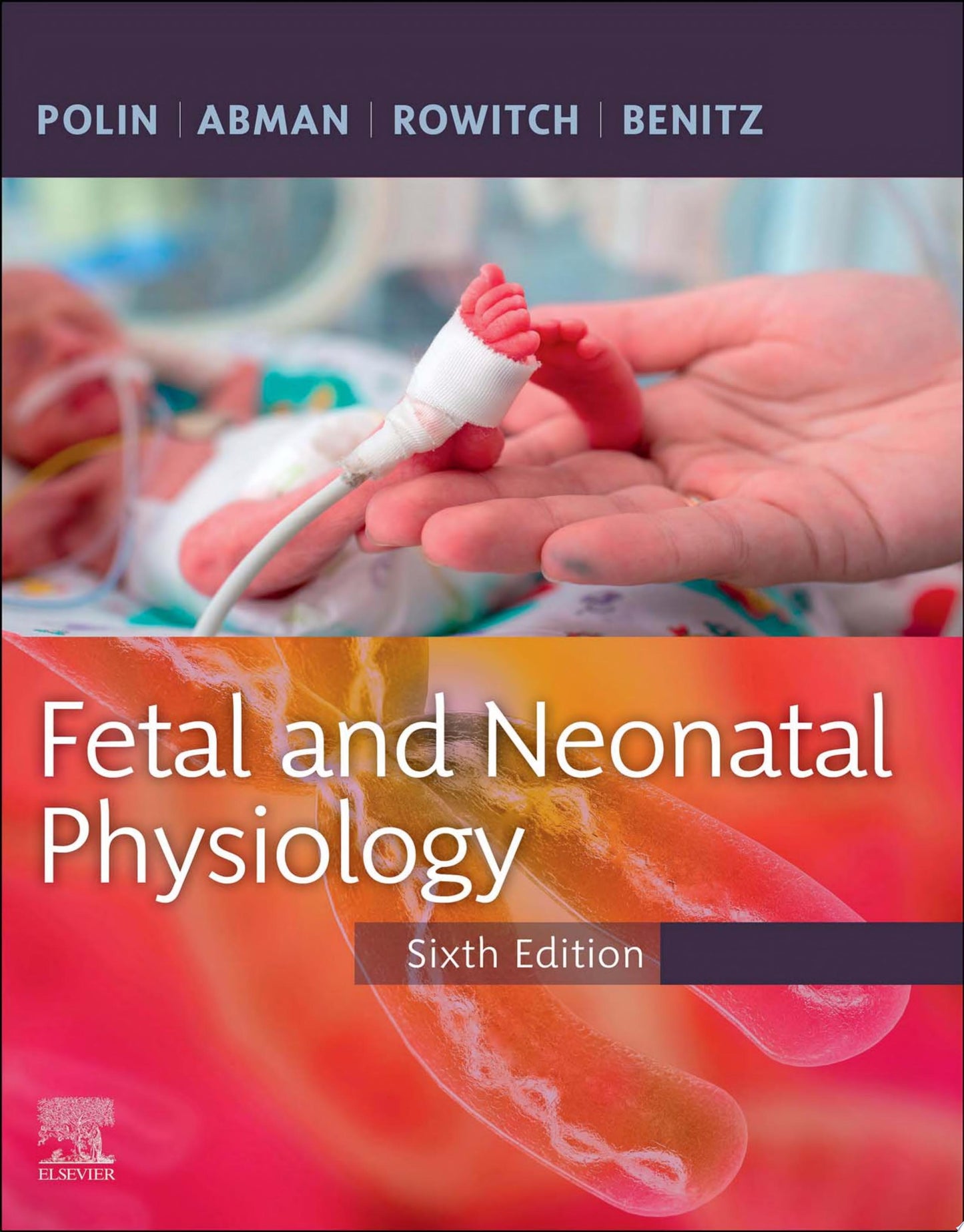 Fetal and Neonatal Physiology, 6th Edition