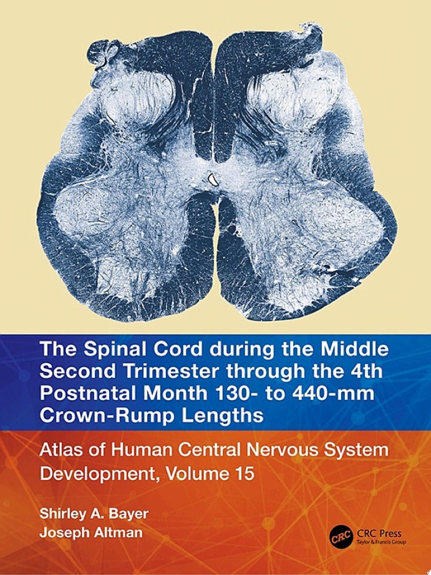 The Spinal Cord during the Middle Second Trimester through the 4th Postnatal Month 130- to 440-mm Crown-Rump Lengths: Atlas of Human Central Nervous System Development, Volume 15, 1st Edition
