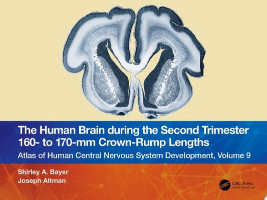The Human Brain during the Second Trimester 160– to 170–mm Crown-Rump Lengths: Atlas of Human Central Nervous System Development, Volume 9
