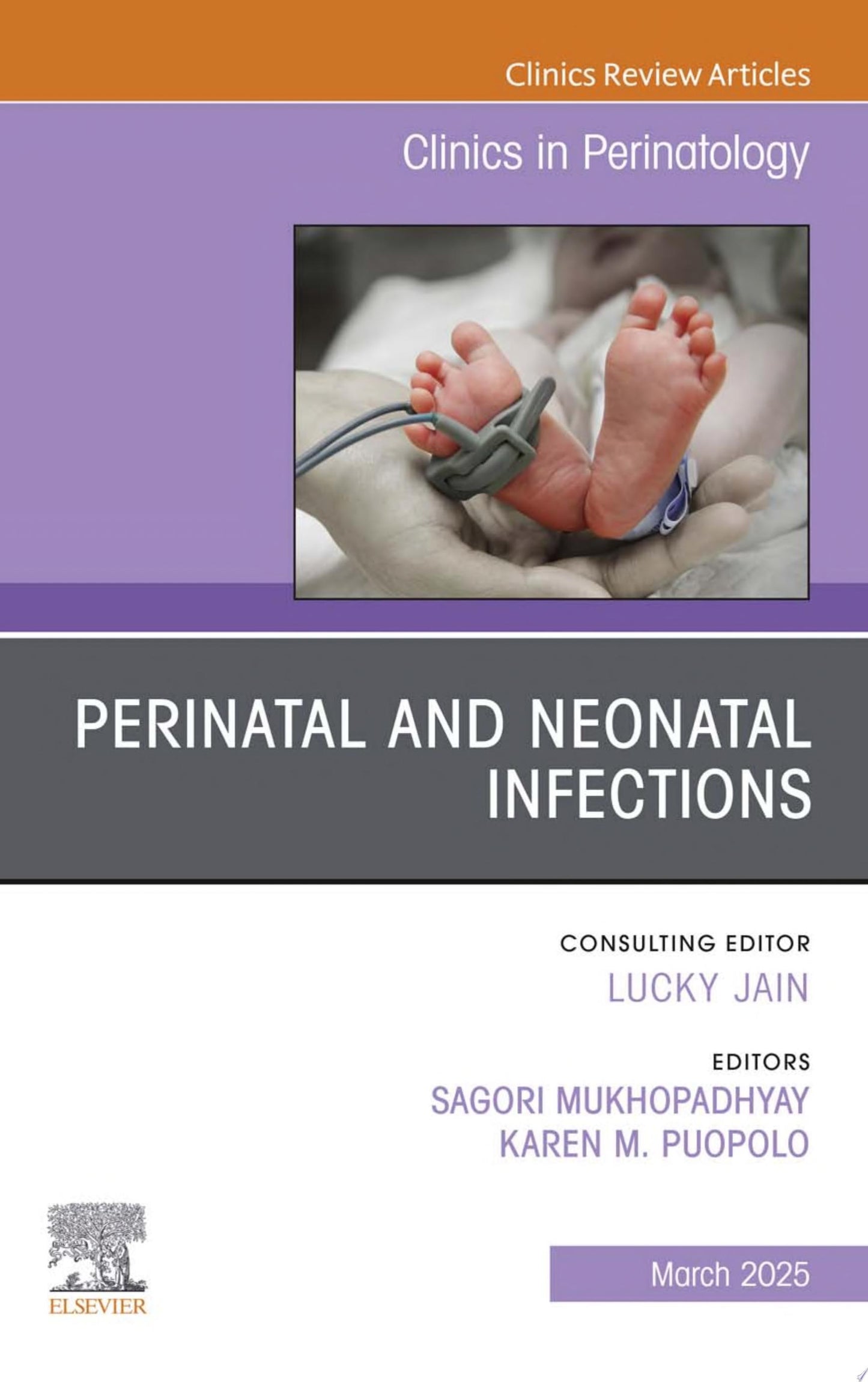 Perinatal and Neonatal Infections, An Issue of Clinics in Perinatology