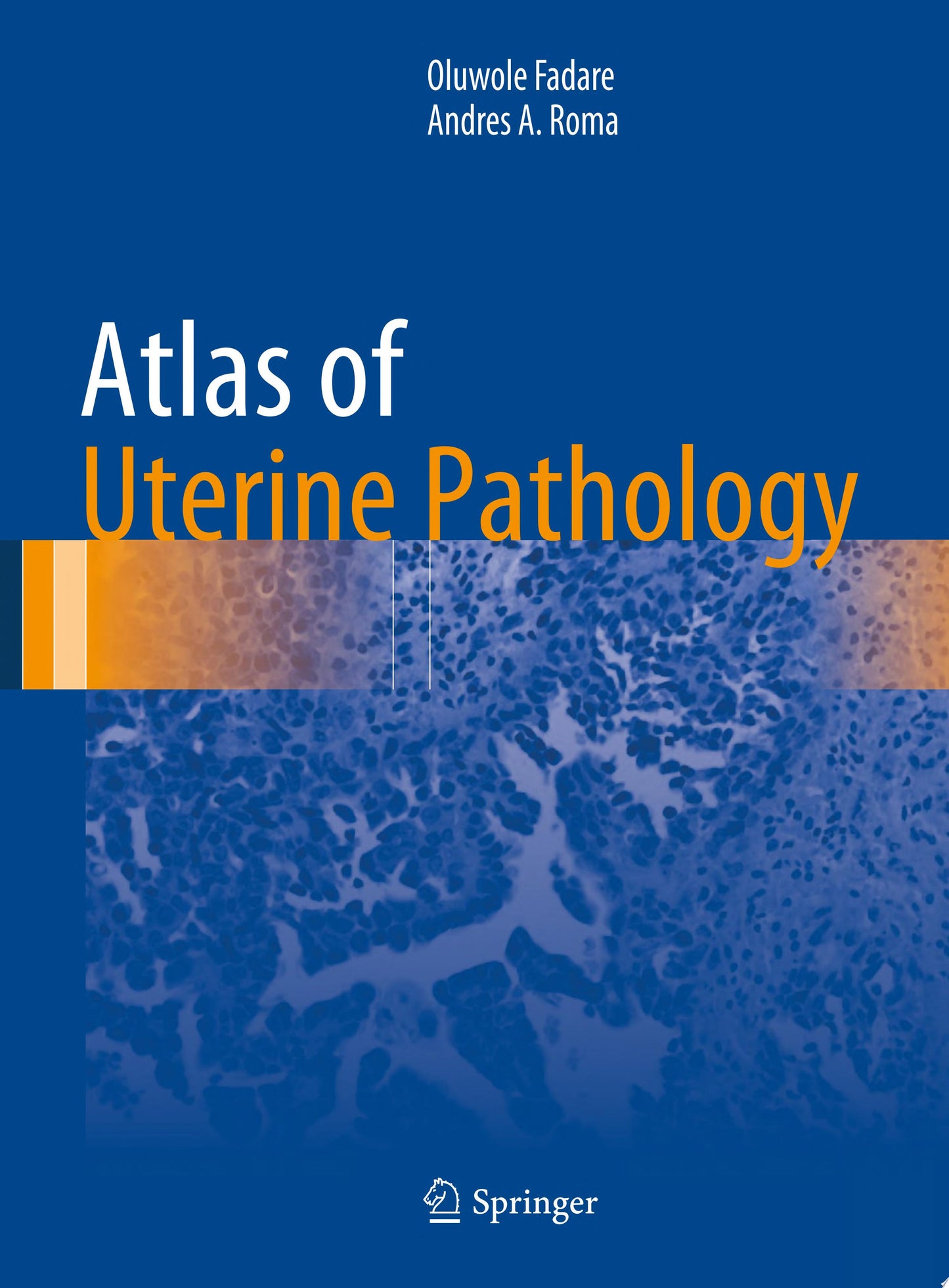 Uterine Pathology
