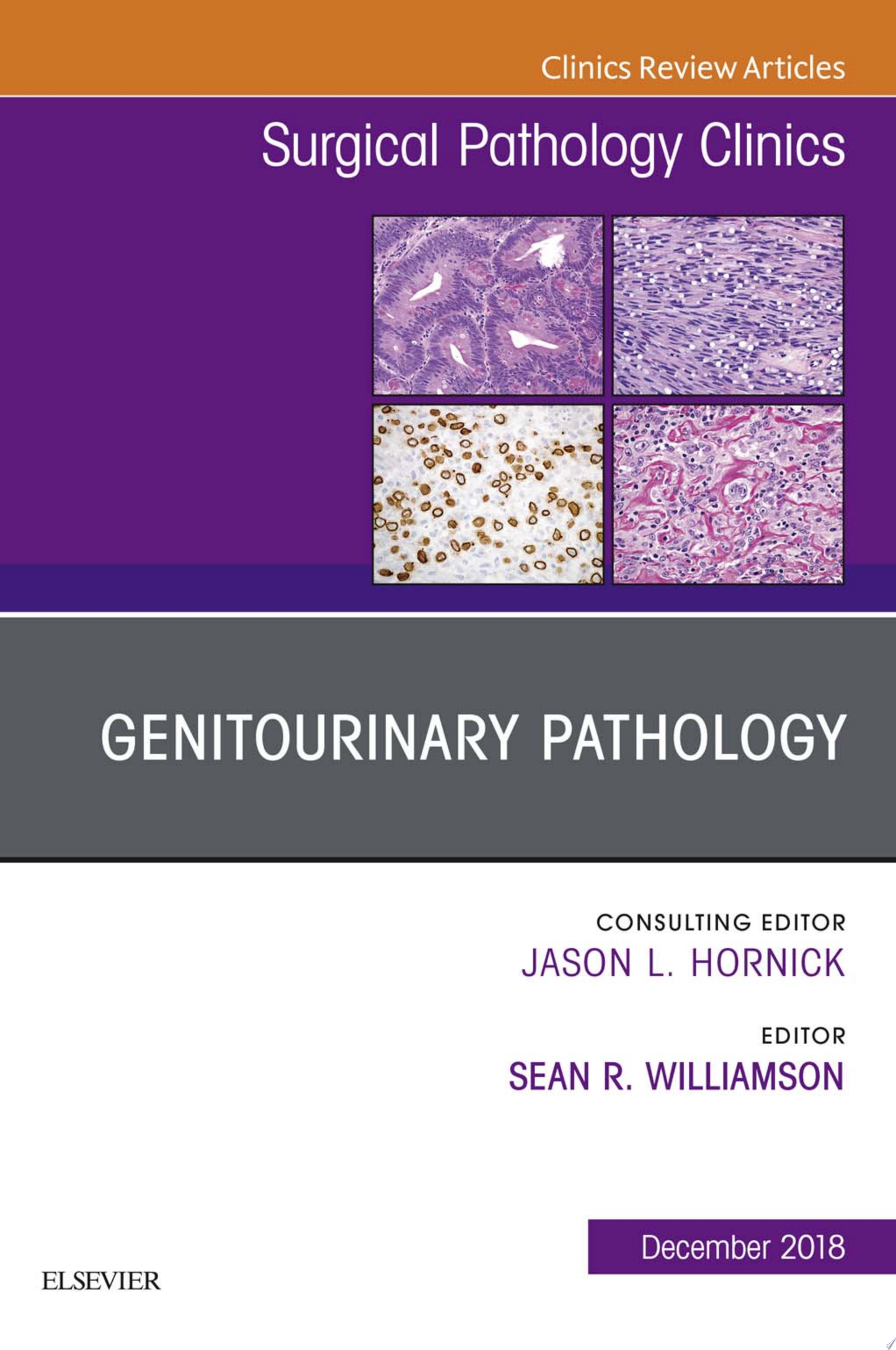 Genitourinary Pathology, An Issue of Surgical Pathology Clinics